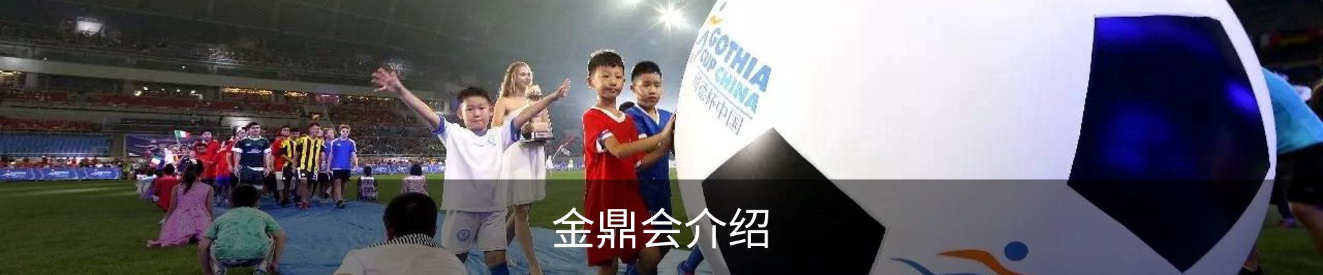 金鼎会介绍